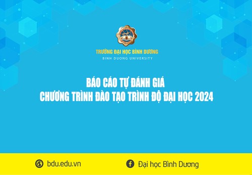 BÁO CÁO TỰ ĐÁNH GIÁ CTDT DH 2024
